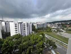 Hillview Heights (D23), Condominium #542734871